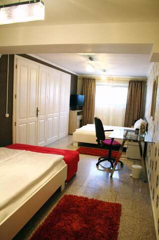Отель RHC Royal Hotel Орадя Номер-студио Делюкс с кроватью размера "king-size"-7